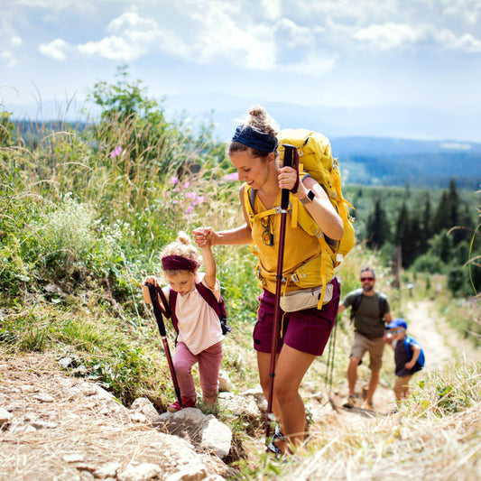 Top Trail Snacks for Your Next Outdoor Adventure