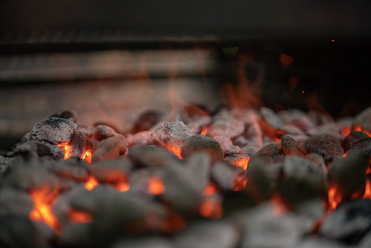 Mastering the Art of Smoking Elk, Deer, & Beef Together