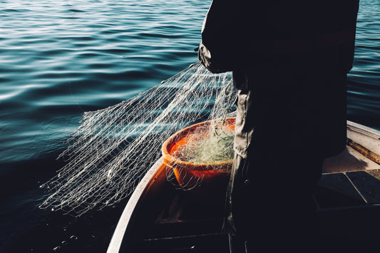 Fish Jerky: A Nutritious and Flavorful Snack Revolution