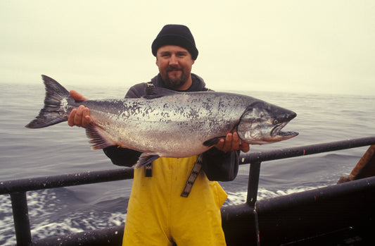 Ultimate Guide: Storing Fish Jerky for Freshness & Safety
